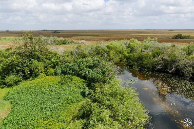 View south-east from Shark Valley Observation Tower, Everglades, Florida