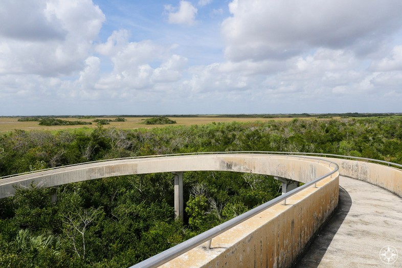 River of Grass and Tree Islands seen from Shark Valley Observation Tower, Everglades National Park, Florida