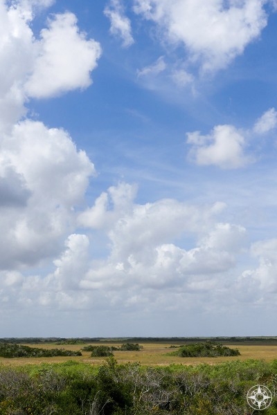 Big subtropical blue sky with white clouds of River of Grass, freshwater marsh, view from Shark Valley observation tower, Everglades National Park