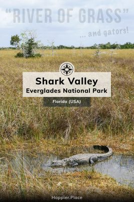 River of Grass and Gators, Shark Valley of the Everglades National Park in Florida, Happier Place