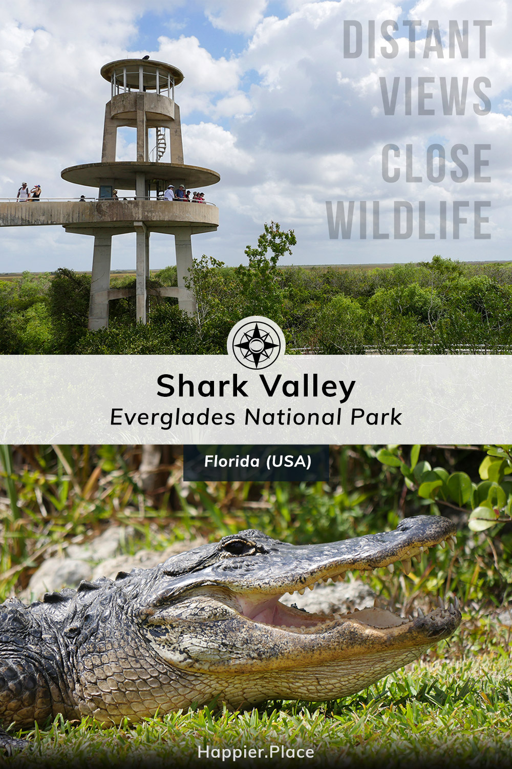 Distant views and close wildlife in Shark Valley Everglades National Park, Florida, USA, gator, observation tower, Happier Place