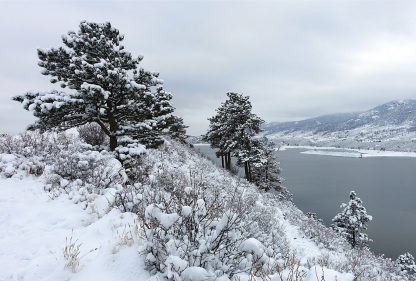 snow-covered trees above icy lake, Horsetooth Reservoir, Colorado, postcard, pic156: south snow trees