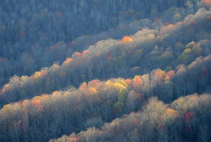 Colorful sunlit trees along ridges of the Blue Ridge Mountains, pic160: sunlit tree ridges, postcard