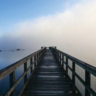 Paynes Prairie Boardwalk over lake with rolling fog, state park, Gainesville, Micanopy, US-441, pic184: Paynes pier into the fog, postcard