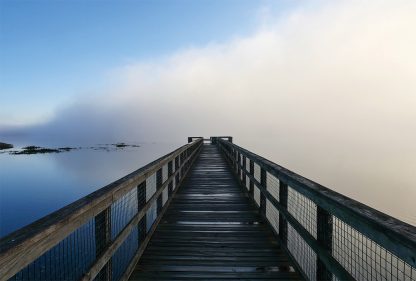 Paynes Prairie Boardwalk over lake with rolling fog, state park, Gainesville, Micanopy, US-441, pic184: Paynes pier into the fog, postcard