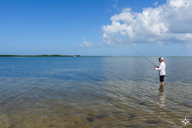 Man, Skinny Water fishing, north end Honeymoon Island, St. Joseph Sound, Tampa Bay, Florida 