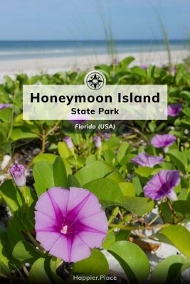 Natural Beach Paradise, Honeymoon Island State Park, Florida, Happier Place