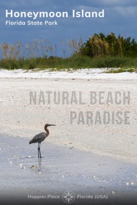 reddish egret, Natural Beach Paradise, Honeymoon Island State Park, Florida, Happier Place,