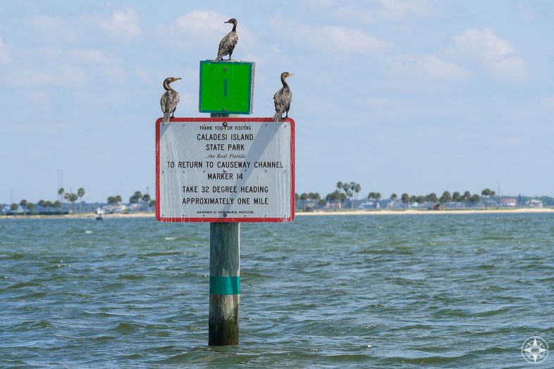 Cormorants on a Caladesi Island State Park channel sign with the Dunedin Causeway in the background.