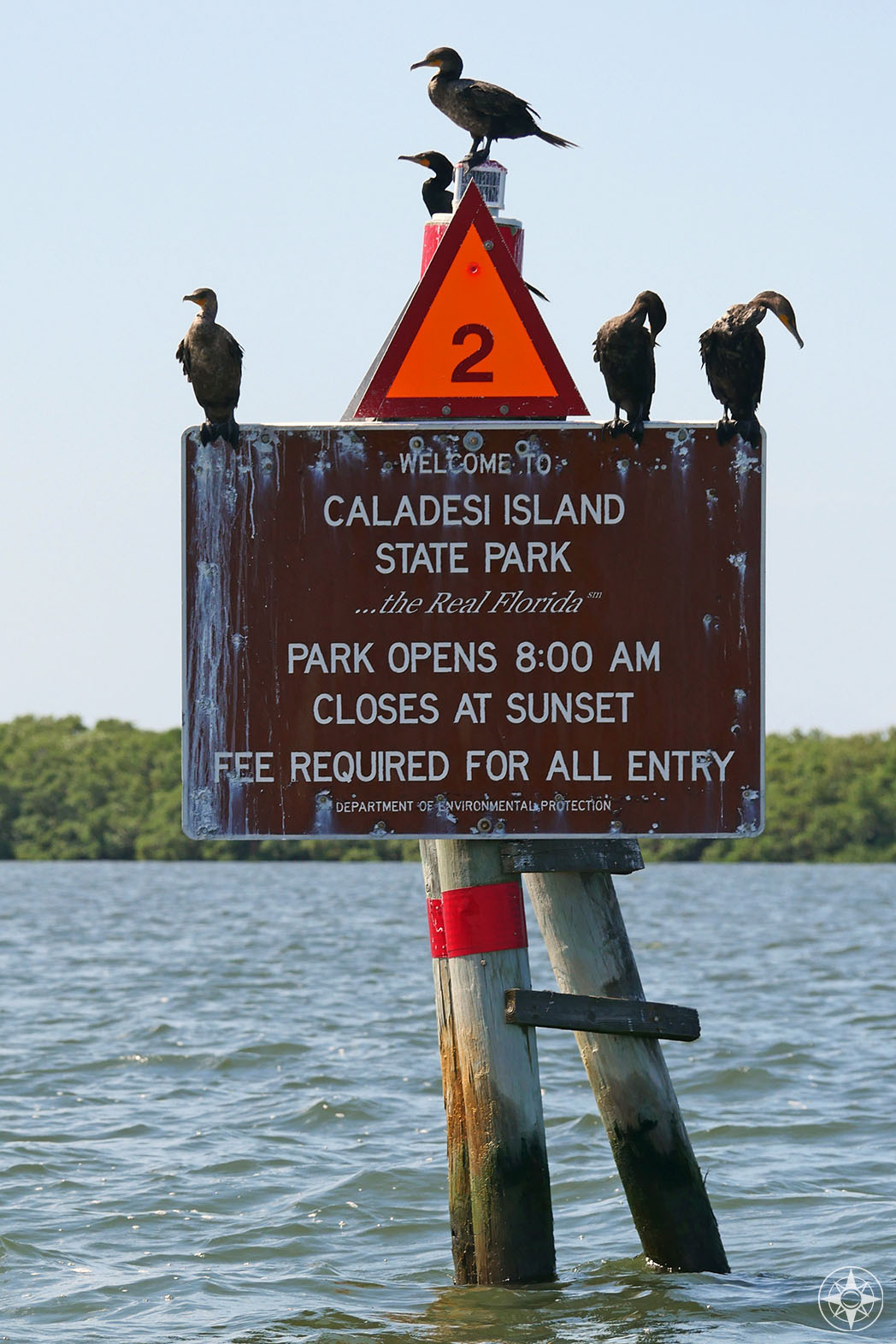 Cormorani sul cartello all'ingresso del corso d'acqua al Caladesi Island State Park, la vera Florida