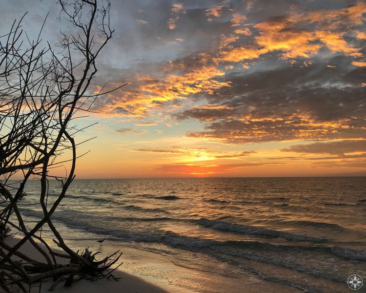 Puesta de sol sobre el Golfo de México a través de ramas de árboles estériles