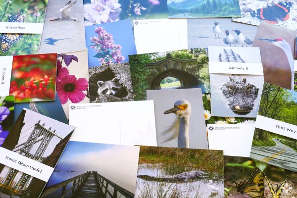 new outdoor and nature photography postcards by Happier Place and Luci Westphal, featuring images of egret, alligator, flowers, Manhattan Bridge, Prospect Park Bridge, butterfly