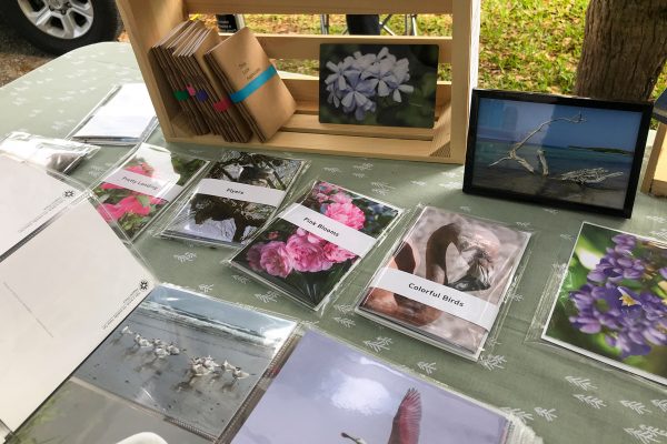 Happier Place pocket notebooks, postcards, and greeting card sets with nature photography by Luci Westphal