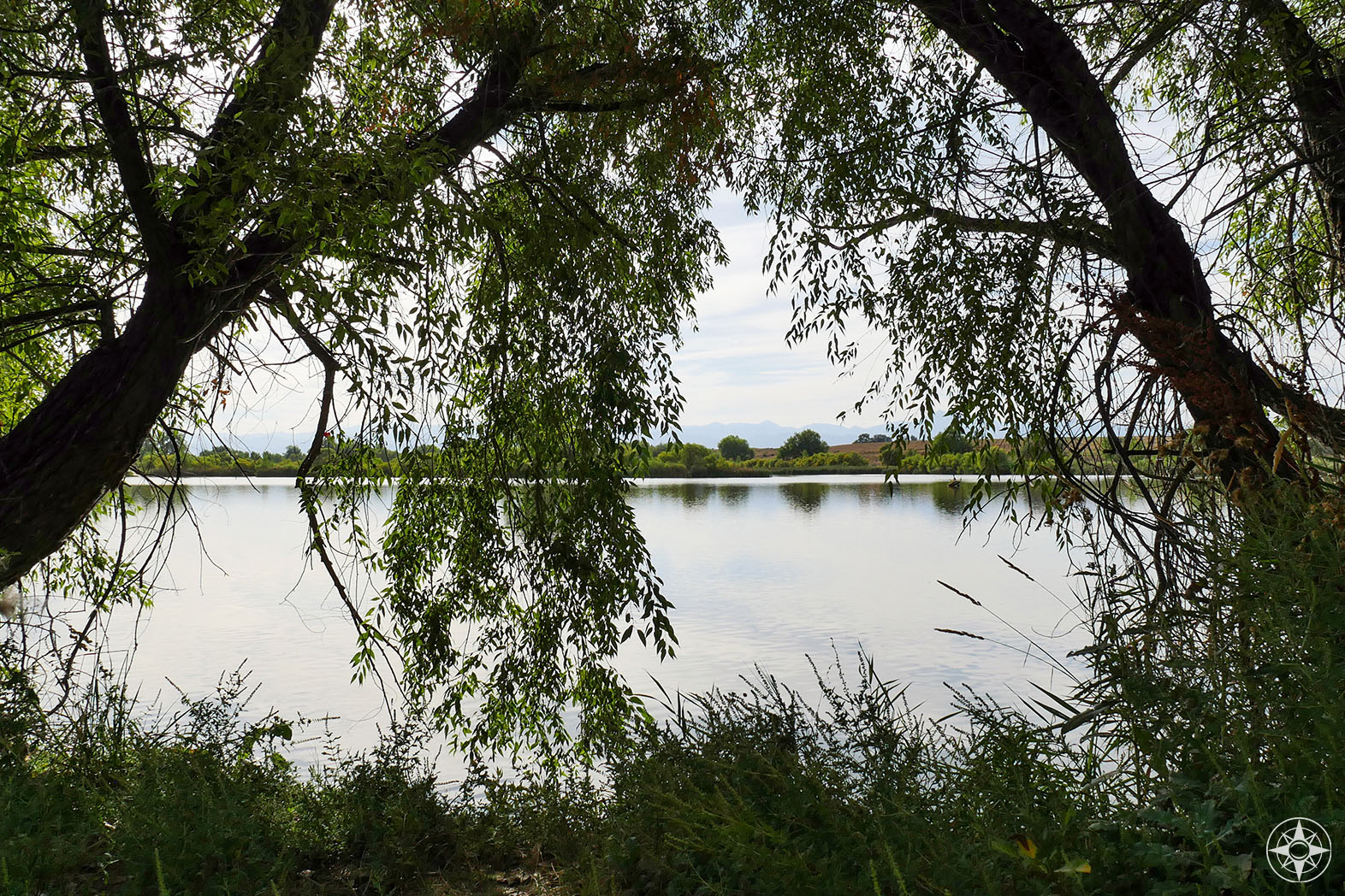 View through the trees of Pelican Pond in St Vrain State Park
