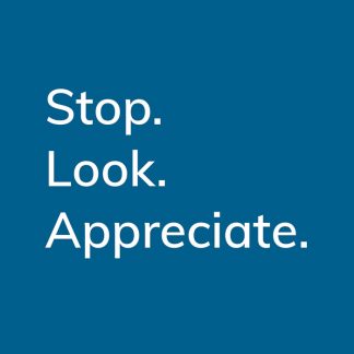 Stop. Look. Appreciate. - HappierPlace txt211 dark blue, greeting card, gratitude moment