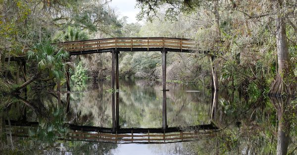 Bridge over Hillsborough River, Florida, Tampa Bay