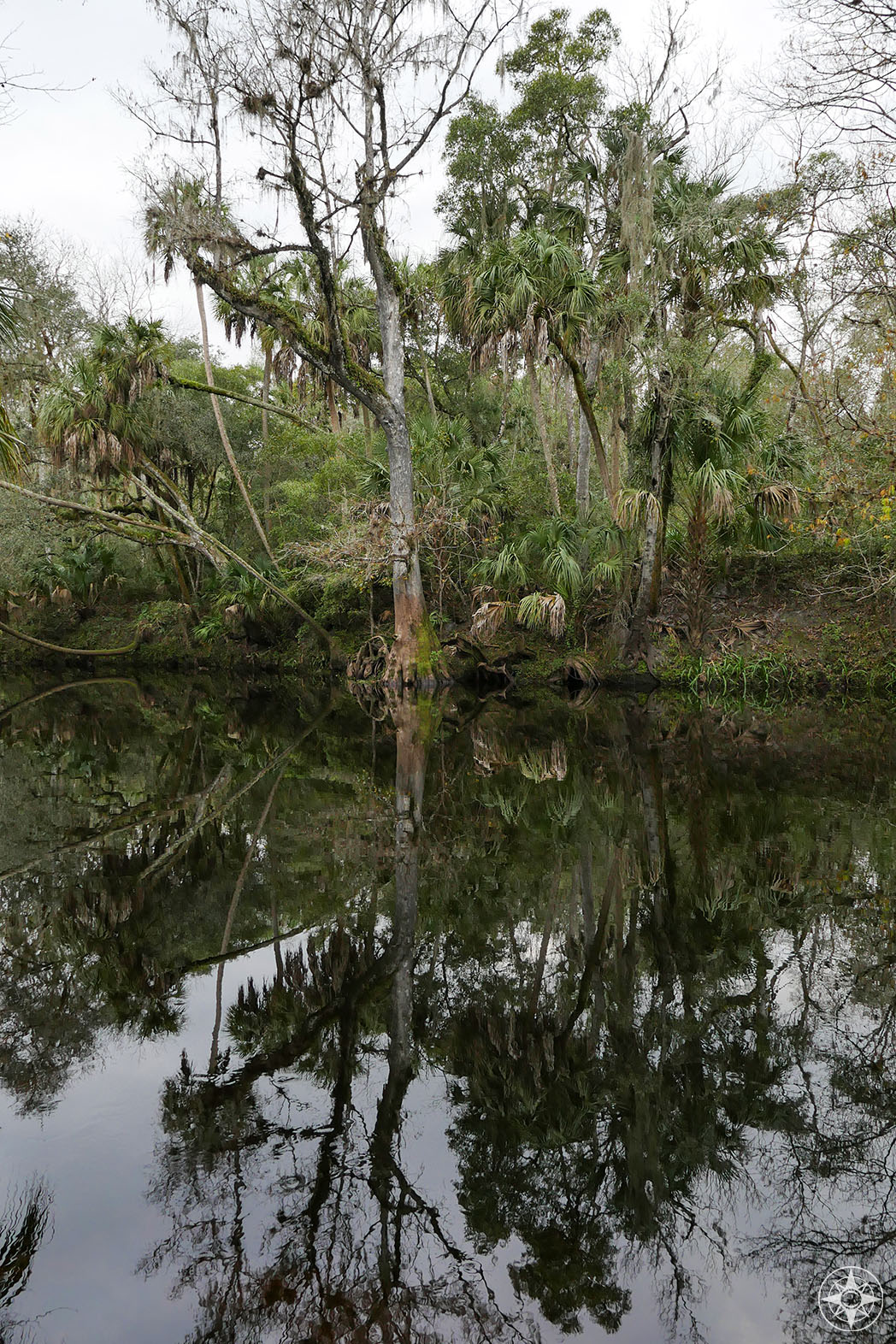 Hillsborough River State Park, Florida, Tampa Bay