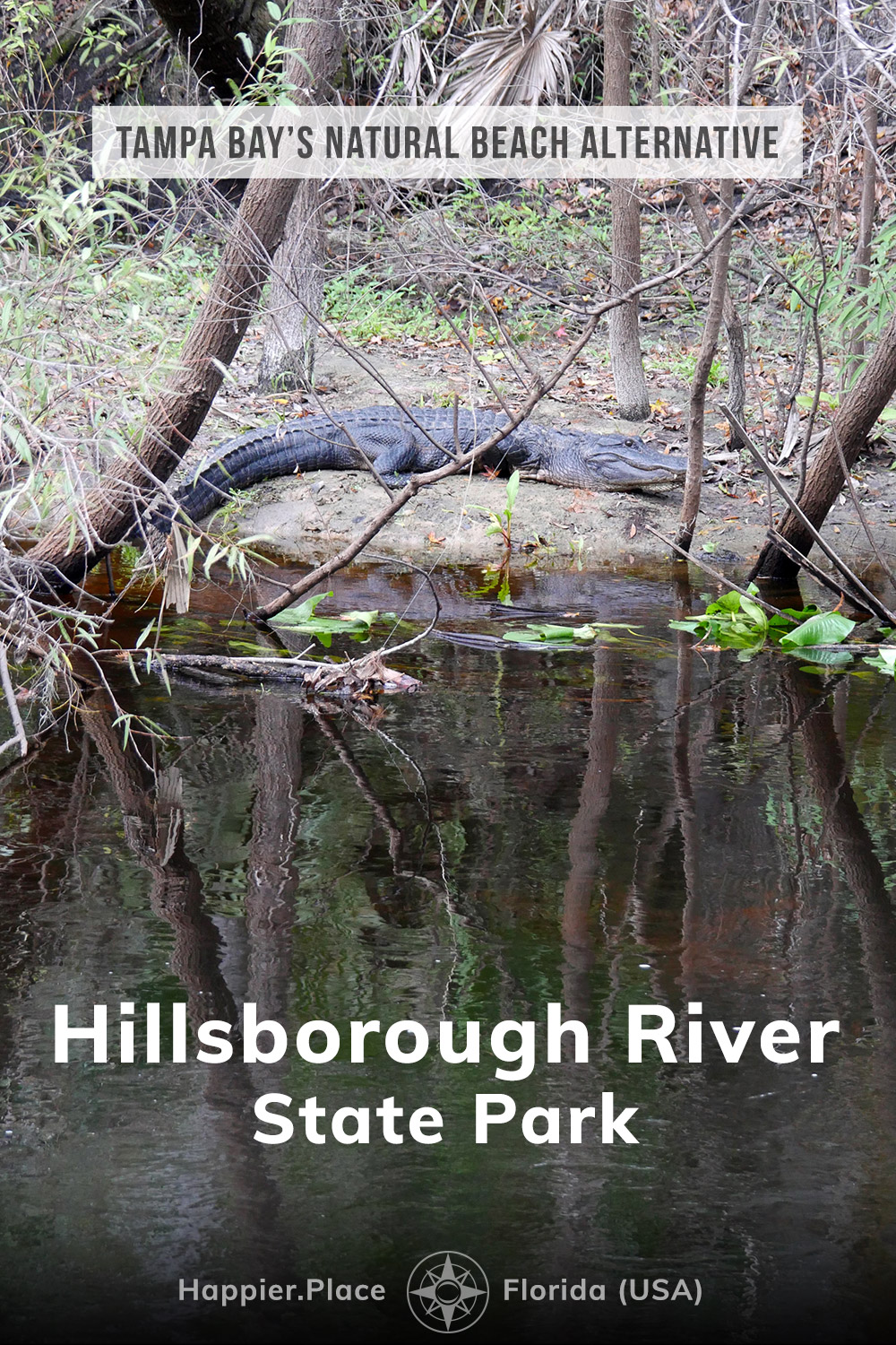 Hillsborough River State Park, Florida, Tampa Bay