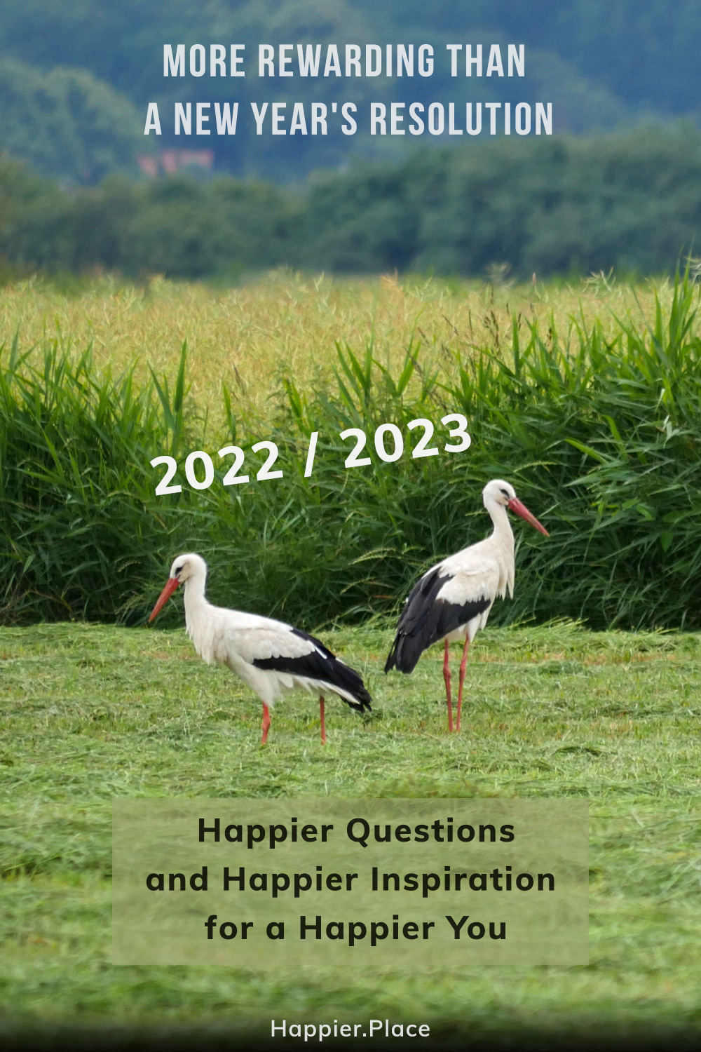 more rewarding than new year's resolution, 2022 2023 Happier Questions Inspiration for a happier You, European storks