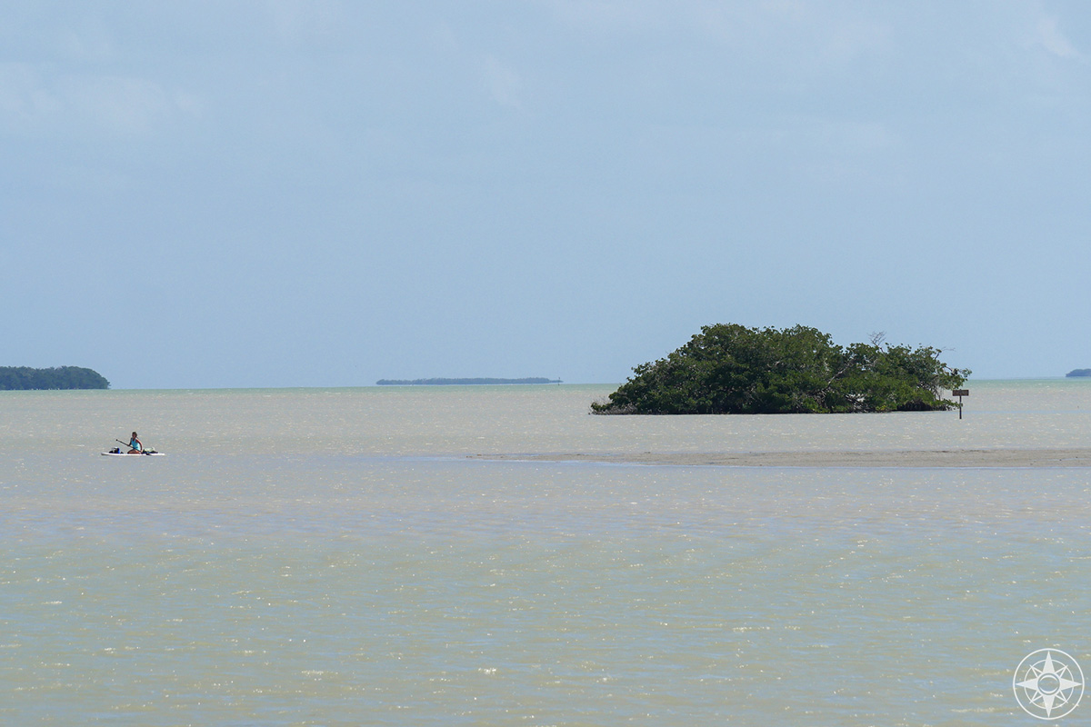 SUP paddling among the islands of the Florida Bay